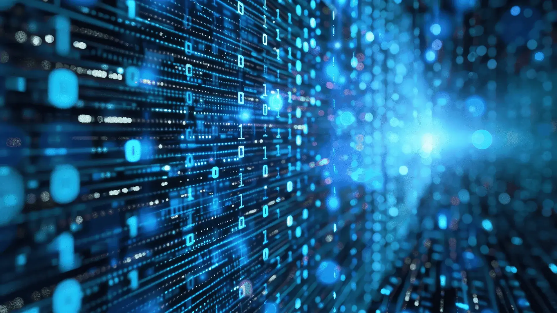 Falcon of Code Digital Solutions